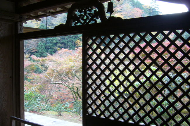 京都の名庭園といわれる１００寺院の写真集です。<br />「京都名庭100選」の一覧リストはコチラをご覧下さい。<br />　→http://shokyoto-kyoto.seesaa.net/<br /><br />急激に冷え込んで、紅葉のペースが速くなってきたので、あわてて紅葉狩りに出かけました。<br />紅葉シーズンの混雑を避けてなかなか行けなかった、嵐山・高雄方面に思い切って挑戦しましたが、三連休前日で、超ラッシュとまではいかなかったものの、それでも人混みをかきわけての１日でした。<br />狙いは、高山寺の「石水院」ですが、せっかくですから、清滝川沿いに並ぶ「西明寺」、「神護寺」の「三尾」（さんび）の紅葉パラダイスを堪能しました。<br /><br />「高山寺」（こうざんじ）は、奈良時代に創建された古寺を、鎌倉時代に明恵上人（みょうえしょうにん）が再建したもので、京都と言うより、奈良、鎌倉の臭いがします。<br />京都に17ある世界遺産の一つですが、見所は、国宝の「石水院」と「鳥獣人物戯画」に「日本最古の茶園」です。<br />「石水院」は、この山深い栂尾（とがのお）の中で、明恵上人が住んでいた鎌倉時代の住居ですが、<br />ここで好きなところは、「蔀戸」（しとみど）と呼ばれる斜めに組んだ格子戸や、上半分をはねあげた窓から透かして見る外の景色です。<br />老松や古杉、楓などの樹木が茂った自然がそのまま庭園になったような感じで、以前緑茶のＣＭロケにも使われたことがあるという縁側に座って、四季ごとに変化する自然の神秘さを見ると、心が落ち着きます。<br />ここにはもう一つ、知る人ぞ知る不思議なものがあって、悟りを開く理想の姿とされている「善財童子」（ぜんざいどうじ）の木像が、なんとも言えぬ癒しを与えてくれます。<br />「鳥獣人物戯画」は、カエルとうさぎが相撲をとるシーンなど、歴史の教科書でも見覚えのあるものですが、なぜここにあるのかよく分かってないようです。11メートルもあるという巻物は、日本最古の漫画とも言われ、当時の僧侶や貴族を風刺したものです。全４巻あって本物は東京国立博物館と京都国立博物館にあるそうです。<br />「日本最古の茶園」は、鎌倉時代に栄西が宋から持ち帰った茶葉を、明恵に贈り、ここで栽培した茶葉が宇治や駿河へ移植されて全国に普及したという経緯があって、ここが「茶の発祥地」とされ、毎年宇治の新茶が献上されるそうです。<br />広い境内には、いかにも素朴な開山堂や金堂もありますが、あえて手を加えてない自然そのままの景観の中に溶け込んで、真赤な紅葉がアクセントを添えて絶妙のコントラストを醸し出しています。<br /><br />高山寺の表参道から清滝川沿いに歩くと、まさに絵に描いたような紅葉の絶景ポイントが現われます。<br />「西明寺」（さいみょうじ）は、空海のお弟子さんが建てた神護寺の別院ですが、入り口の「指月橋」は京都でも屈指の紅葉スポットです。たくさんのデジカメカメラマンのシャッターの音が鳴り止みません。<br /><br />更に清滝川を下り、高雄橋を渡ると、400段もあるという急勾配の参道が現れます。<br />「神護寺」は、弘法大師が真言宗立教の基礎を築いたところですが、<br />金堂をはじめ、大師堂、五大堂、毘沙門堂、書院に茶室、宝蔵、霊廟、鐘楼、多宝塔、地蔵院などの建物がずらりと並び、それぞれに真赤な紅葉が彩りを添えています。<br />頑張って登っている高齢のシニア達が目立ちますが、それだけの価値は充分にある古刹です。<br /><br />午後からは、嵐山に立ち寄ります。<br /><br />