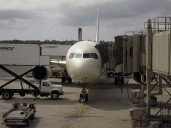 又兵衛とぷよぞうハネムーンへ行く　の巻（帰国編）