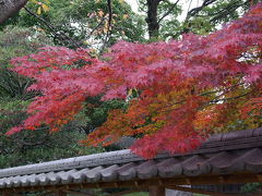 紅葉　花田苑