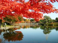 昭和記念公園で秋を満喫