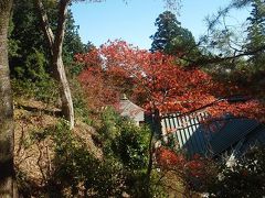 高尾の紅葉。?高尾山薬王院有喜寺。