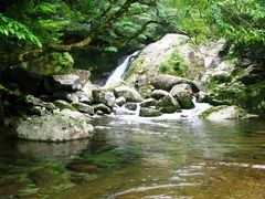 屋久島旅行　vol.1 =1日目　もののけ姫の森、白谷雲水峡へ=