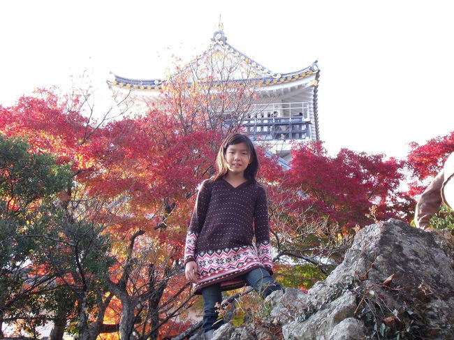 金華山に紅葉を見に行きました。