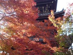 京都の紅葉みごろ＜洛北方面＞1日目