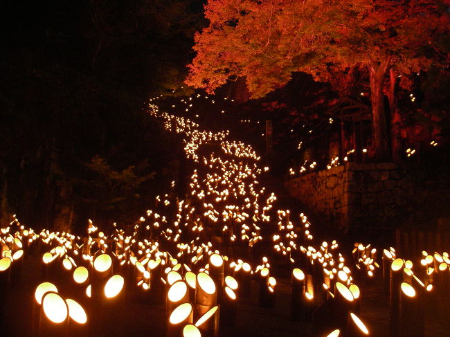 大分県の豊後竹田で11/14-16に開催されたお祭り「竹楽」へ行ってきました。<br />豊後竹田は古い日本の風景が残る山間の小さな街。その町中に、ロウソクを灯した竹を無数並べるというとても幻想的なお祭りです。<br />