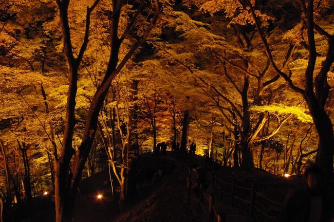 紅葉の香嵐渓に憧れ、JTB旅物語のバスツアー一泊二日で香嵐渓へ行きました。<br />一泊二日で15000円でした。<br />夕朝一食しかついていませんが、なかなかお得なツアーでした(ホテルもまずまず良かったです。)<br />香嵐渓(こうらんけい)は連休と紅葉の見ごろということでものすごい人と渋滞がありましたが、紅葉とそのライトアップが印象的でした。本当にに行ってよかったと思っています。<br /><br />行程は<br />一日目<br />新宿発 6:30発 東京発 7:15<br /> ↓<br />香嵐渓<br /> ↓<br />大矢田もみじ谷(香嵐渓の渋滞でカット9<br /> ↓<br />ホテルグランディア飛騨高山 到着は八時半頃<br /><br />二日目<br />ホテル 出発 7:50<br /> ↓<br />高山フリー散策<br /> ↓<br />舞台峠(ただのドライブイン)<br /> ↓<br />馬籠宿<br /> ↓<br />信州清内路村のお漬物屋さん<br /> ↓<br />天竜峡<br /> ↓<br />飯田・水引の郷(ただのドライブイン)<br /> ↓<br />新宿 到着は20:30頃