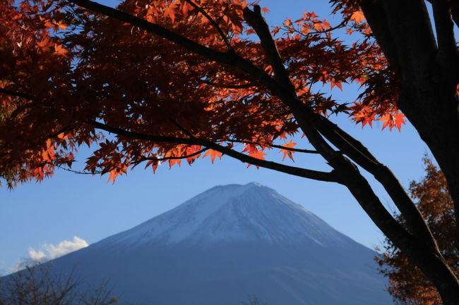 　バスツアー旅行で紅葉を観ながら新雪の富士の写真を撮りに山梨県山中湖畔に一泊二日の旅行です。