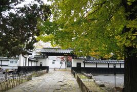 2008秋、紅葉の飯田と天竜峡下り(5/6)：11月8日(3)：飯田城址(1)、飯田市街、桜の紅葉、御用水、二の丸、本丸、観耕亭碑