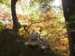 紅葉狩り～談山神社～