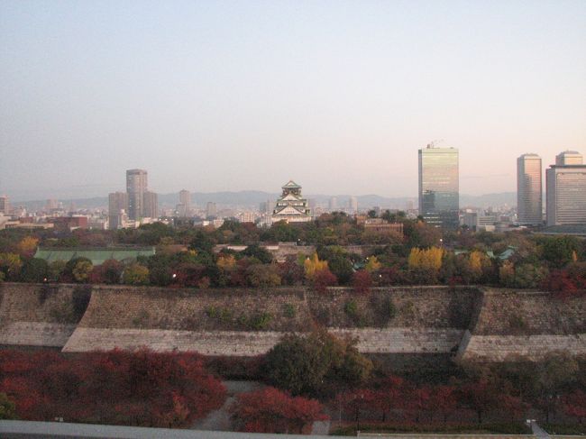 １１月２６日、午前６時半に起床し、ホテルの窓から眺められる大阪城公園の風景を撮影した。<br />夜が明けたばかりの早朝に見られる、黄葉、紅葉の木々で囲まれた大阪城は美しかった。<br />また、大阪城公園付近の高層ビル群もシーンとした雰囲気であり、この一瞬の光景は変えがたいもののように思われた。<br /><br /><br /><br /><br />＊大阪城公園の風景