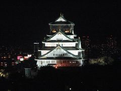 大阪城のライトアップ風景を眺める