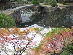 小石川後楽園で紅葉　けっこう広いんだなあ。（東京千葉、秋の２泊３日の旅?）