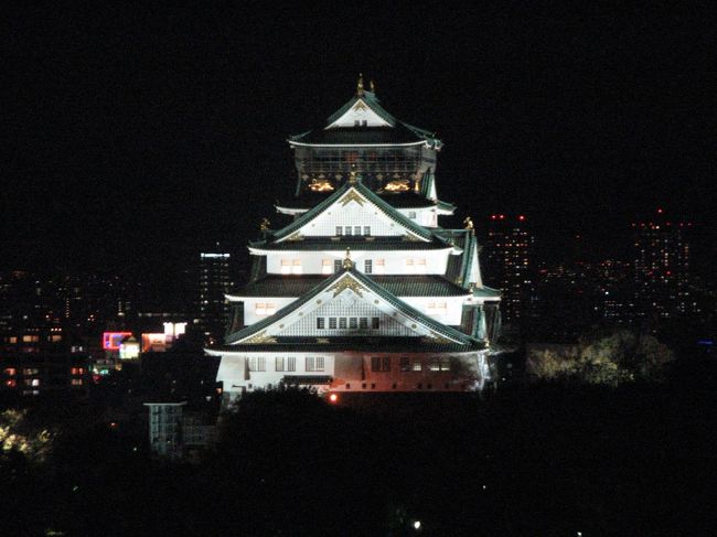 １１月２５日、午後１０時少し前にホテルにチェックインした。<br />ホテルからライトアップした大阪城を見るためである。<br />幸いなことにライトアップした大阪城の写真撮影に間に合い数枚撮影した。　午後１０時を過ぎたところでライトアップは終了し、午後１１時半頃には完全に灯は消えてしまった。<br /><br /><br /><br />＊写真はライトアップした大阪城の風景