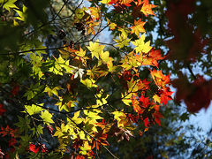 初秋の東北紀行--其の3