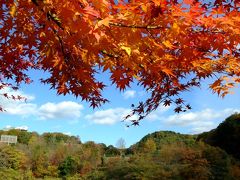 花がない？花フェスタ記念公園へ（＾o）=3