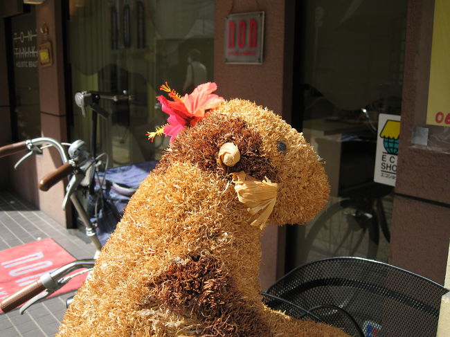 長居で再び発見。<br /><br />旅行に行っていないので<br />ストレスがたまっているのか<br />変なものばかり気になります　＞＜