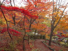 秋の東山公園～紅葉と塔のある風景