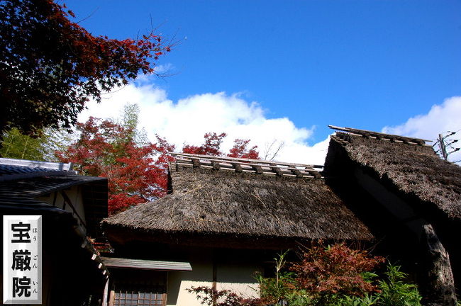 京都紅葉2008宝厳院へ