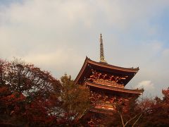 ザ・観光　紅葉の京都　２泊3日