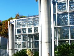 カトレア咲き熱帯植物茂る温室で　☆市川市鑑賞植物園は常夏の熱気