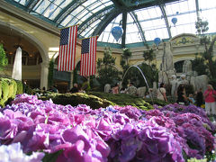 アメリカ・ラスベガス到着～☆