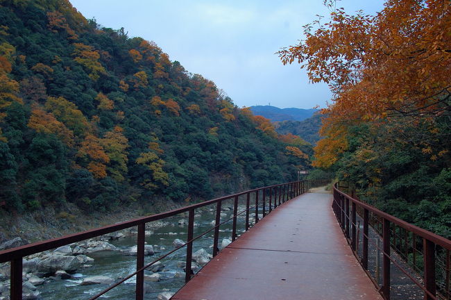 紅葉を求めて旧福知山線武庫川渓谷にやって来た。<br />前半は秋晴れの中のハイキングを武庫川第2橋梁まで。<br />後半は武庫川第2橋梁から生瀬まで。橋を渡るころから雲行きが怪しくなり雨が降ってきた。通り雨のような小雨が十数分何度か降ってきた。<br />前半は晴れの日の紅葉、後半は晴れたり雨が降ったりとよく解らない天気の中での紅葉になってしまった。<br />色々な表情のある渓谷だった。<br /><br /><br />これまでの旧福知山線旅行記<br />http://4travel.jp/traveler/buucyan/album/10249896/<br />http://4travel.jp/traveler/buucyan/album/10249946/<br />http://4travel.jp/traveler/buucyan/album/10274370/<br />http://4travel.jp/traveler/buucyan/album/10291565/<br /><br />よかったらあわせてみてください。<br />季節ごとの違いが伝われば幸いです。