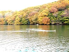１．松川湖の奥野公園・一碧湖（いっぺきこ）で紅葉狩り　スワンボートに乗りました