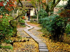 京都紅葉2008　直指庵へ