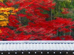 錦&#32353;の古都！南禅寺・永観堂?