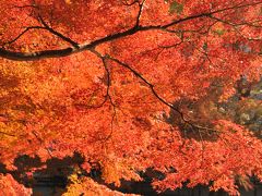 JR東日本 駅からハイキング「飯田橋から市ヶ谷へ 歴史ある秋の道を歩く」