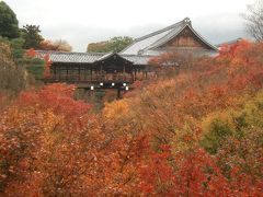日本第一の紅葉名所、東福寺。今年も行きました