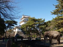 2008.11 箱根の坂? 小田原城で北条氏の栄光を垣間見る