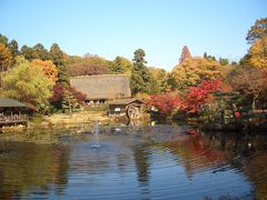 名古屋東山動植物園の紅葉散歩　（１）紅葉の遊歩道