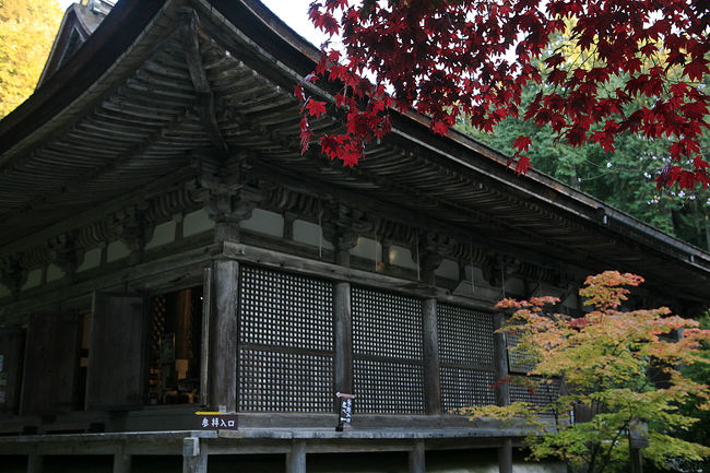 琵琶湖の東、湖東三山　「天台宗　金剛輪寺」<br />本堂脇の紅葉は血染めの紅葉と呼ばれます。<br />