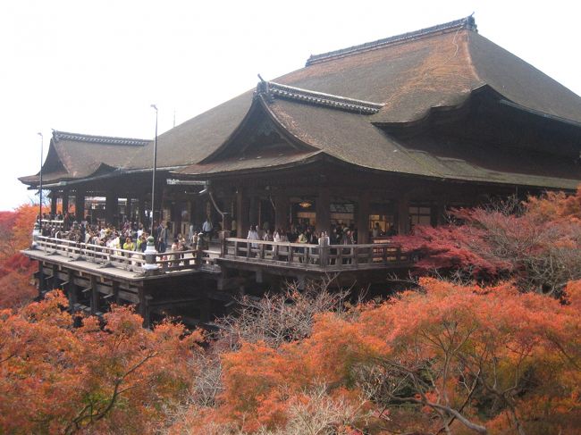 京都の紅葉の時季は、今月限りと友人がいったので久しく行ってない、清水寺の紅葉を見に、２泊３日の京都、大阪への小旅行となった。今回は、一ヵ所だけの集中観光でした。<br /><br />寺への参詣路を、みやげ物、和風雑貨、食べ物の店を見ながら歩くと、山の中腹に三重の塔や有名な「清水の舞台」が、紅葉や黄色の木々につつまれて姿をあらわす。<br />舞台からは、夕日に染まる京都の町並みや、周辺の山々の紅葉のべに色、き色、みどり色のグラデーションがすばらしかった。<br />今の時季、夜はライト・アップしているのでちがう景色を見ることができる。<br /><br />翌日は、大阪のヒルトン・ホテルで中華料理を食べる。ロビーとラウンジでは、クリスマスの飾りつけが人びとを華やいだ気分にさせてくれた。