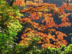 熊本・宮崎紅葉狩り旅行記１日目その１