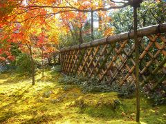 紅葉の古都　京都（鷹峯：光悦寺）