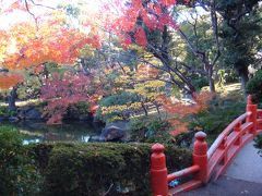 都内とは思えない日本庭園の紅葉、☆旧安田庭園