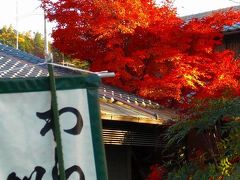 錦&#32353;の古都！哲学の道～銀閣寺?