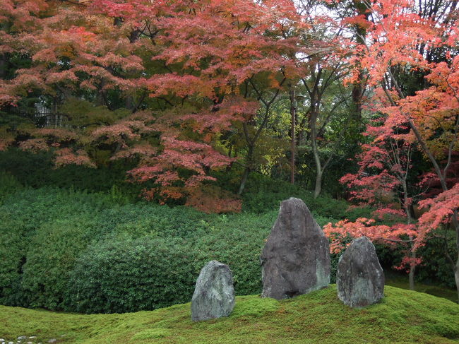 ここ1週間のうちに全国的にぐっと冷え込む日が増えてきました。<br />テレビのニュースでも京都の紅葉が話題に取り上げられています。<br />そろそろ出かける事にしよう〜☆<br /><br />上旬に拝観した時からガラリと変わった木々の様子が伝わりますでしょうか？