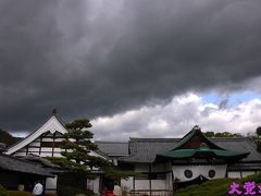 京都紅葉　2008　大覚寺へ