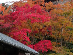 2008紅葉だより◆當麻寺の塔頭 『中の坊』