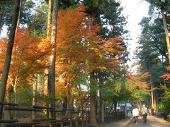 「もみじ　山」　は　ウチの　近く！　に　あったンダ・・・。