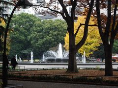 紅葉を求めて日比谷公園を散策?心字ケ池迄