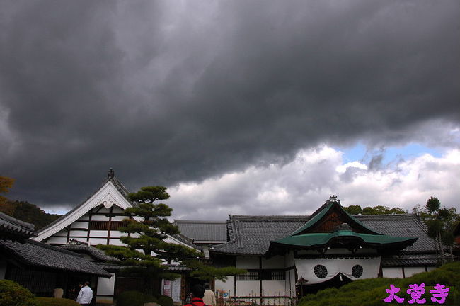 (2008紅葉-その7)大覚寺へ<br /> 岐阜から高速バスで京都へ乗り込んで<br />京都駅から市バス待つが...待てどもバス来ないので<br />タクシーで嵐せんで嵐山駅まで<br />少し周りを見渡せば.天龍寺へ..少し道草<br />すると..観光客の集団につられて歩き<br />宝厳院の良さを小耳に挟み.見れば外観から<br />素晴らしい景観で.暫し.たたずみ足は.自然に宝厳院の入口へ<br />■旅行名:京都紅葉2008宝厳院へ<br />■URL:http://4travel.jp/traveler/isazi/album/10291375/<br />次に..清涼寺を覗いて.大覚寺へ..大覚寺前で昼食後<br />今回の目的の大覚寺にて...<br />大覚寺は真言宗大覚寺派の本山です。<br />京都の人の案内で....<br />小雨が降り始め.始めての大覚寺を急いで回ったら<br />■旅行名:京都紅葉2008大覚寺へ<br />■URL:..........<br />少し時間が有るので..直指庵へ<br />■旅行名: 京都紅葉 2008 直指庵へ<br />■URL: http://4travel.jp/traveler/isazi/album/10291756/<br />時間は,十分余裕で大覚寺前の市バスに2時15分頃<br />30分待たされて...嵐山経由だから<br />京都駅からの高速バスが午後4時に乗れるのが<br />午後5時のに乗って..時代祭と同様に<br />京都は..混雑して..雨に降られて..たいへんどすな・ <br />しかし,帰りには市バスから綺麗な虹を見ました,