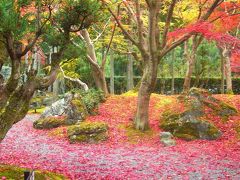 紅葉の古都　京都（鷹峯：しょうざん北庭）工事中