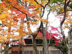 『富士屋ホテル』と箱根美術館庭園