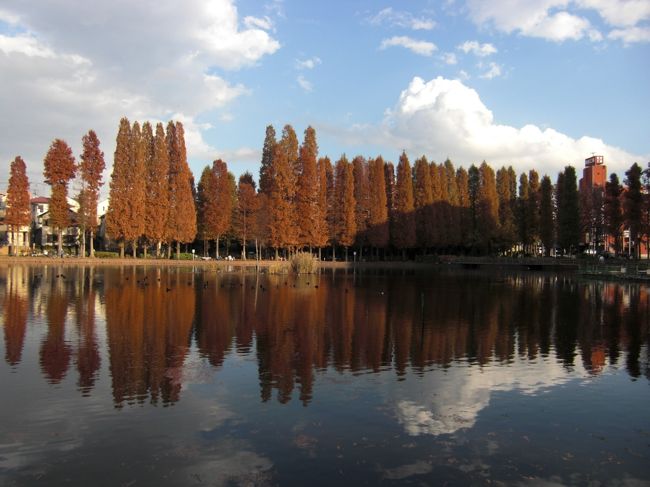 紅葉ももう終わりだろうと思い、<br />暖かい秋の1日、サイクリングがてら<br />別所沼公園へ行ってきました。<br /><br />思ったとおり、紅葉も見ごろで、<br />たくさんの人でにぎわっていました。