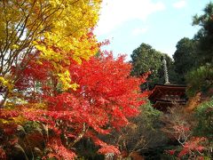 「そうだ、岐阜から、京都、行こう。」２００８・晩秋・クルマで行く、紅葉狩り編