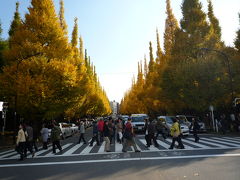 2008年11月　自転車で行ってみようかな　神宮外苑